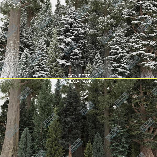 images/goods_img/20210312/40plus40 Conifer Trees 3D model/1.jpg
